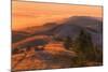 Golden Sunset Burn at Mount Tamalpais, Marin County-Vincent James-Mounted Photographic Print