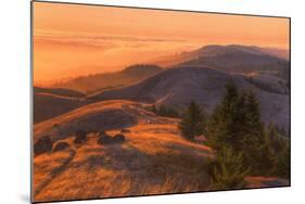 Golden Sunset Burn at Mount Tamalpais, Marin County-Vincent James-Mounted Photographic Print