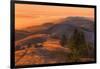 Golden Sunset Burn at Mount Tamalpais, Marin County-Vincent James-Framed Photographic Print