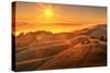 Golden Sunset Landscaper at Mount Tampalais, Marin-Vincent James-Stretched Canvas