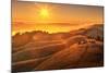 Golden Sunset Landscaper at Mount Tampalais, Marin-Vincent James-Mounted Photographic Print