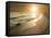 Golden Sunset on the Sea Shore and Footprints in the Sand-ollirg-Framed Stretched Canvas