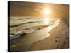 Golden Sunset on the Sea Shore and Footprints in the Sand-ollirg-Stretched Canvas