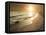 Golden Sunset on the Sea Shore and Footprints in the Sand-ollirg-Framed Stretched Canvas