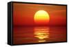 Golden Sunset over Calm Water (Digital Artwork)-Johan Swanepoel-Framed Stretched Canvas