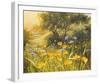 Golden Sunset-Mary Dipnall-Framed Giclee Print