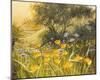Golden Sunset-Mary Dipnall-Mounted Giclee Print