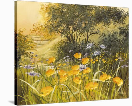 Golden Sunset-Mary Dipnall-Stretched Canvas