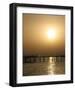 Golden Sunset-null-Framed Art Print