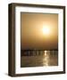 Golden Sunset-null-Framed Art Print