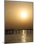 Golden Sunset-null-Mounted Art Print