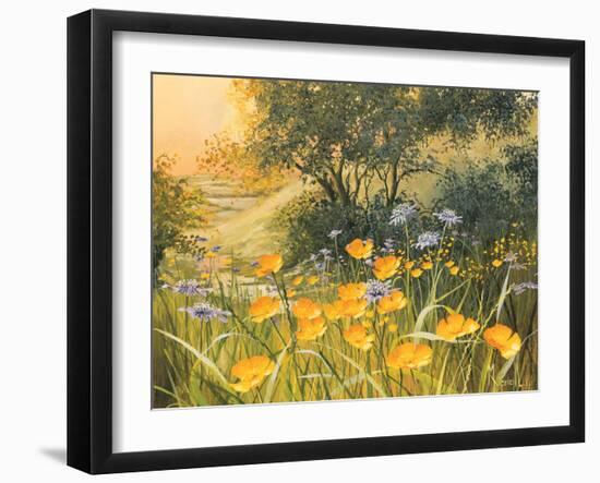 Golden Sunset-Mary Dipnall-Framed Art Print