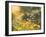 Golden Sunset-Mary Dipnall-Framed Art Print