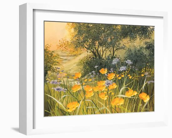 Golden Sunset-Mary Dipnall-Framed Art Print