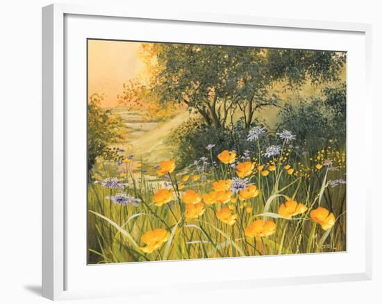 Golden Sunset-Mary Dipnall-Framed Art Print