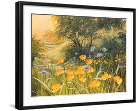 Golden Sunset-Mary Dipnall-Framed Art Print