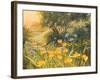 Golden Sunset-Mary Dipnall-Framed Art Print