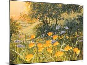 Golden Sunset-Mary Dipnall-Mounted Art Print