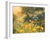Golden Sunset-Mary Dipnall-Framed Premium Giclee Print