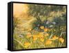 Golden Sunset-Mary Dipnall-Framed Stretched Canvas