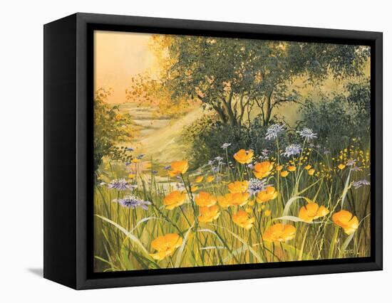 Golden Sunset-Mary Dipnall-Framed Stretched Canvas