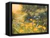 Golden Sunset-Mary Dipnall-Framed Stretched Canvas