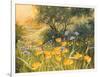 Golden Sunset-Mary Dipnall-Framed Art Print