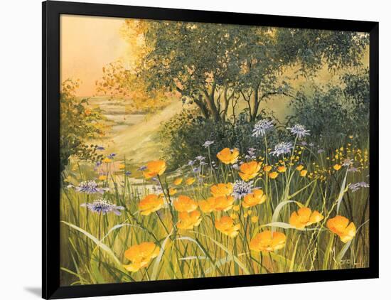 Golden Sunset-Mary Dipnall-Framed Art Print