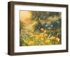 Golden Sunset-Mary Dipnall-Framed Art Print