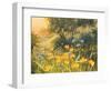 Golden Sunset-Mary Dipnall-Framed Art Print