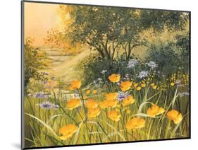 Golden Sunset-Mary Dipnall-Mounted Art Print