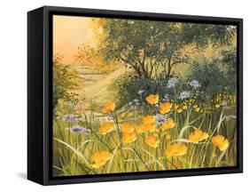 Golden Sunset-Mary Dipnall-Framed Stretched Canvas