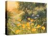 Golden Sunset-Mary Dipnall-Stretched Canvas