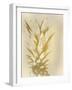 Golden Sweets 1-Kimberly Allen-Framed Art Print