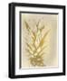 Golden Sweets 1-Kimberly Allen-Framed Art Print