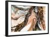 Golden Swirl, Artistic Design. Painter Uses Vibrant Paints to Create These Magic Art, with Addition-CARACOLLA-Framed Photographic Print