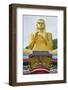 Golden Temple and Golden Temple Buddhist Museum-Christian Kober-Framed Photographic Print