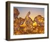 Golden Thaw-null-Framed Art Print