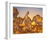 Golden Thaw-null-Framed Art Print