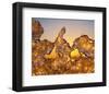 Golden Thaw-null-Framed Art Print