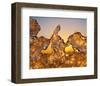 Golden Thaw-null-Framed Art Print