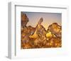 Golden Thaw-null-Framed Art Print