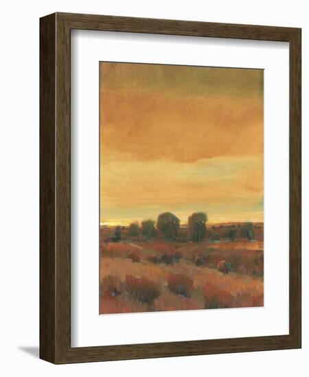 Golden Time I-Tim OToole-Framed Art Print