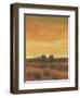 Golden Time I-Tim OToole-Framed Art Print