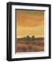 Golden Time I-Tim OToole-Framed Art Print