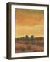 Golden Time I-Tim OToole-Framed Art Print