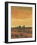 Golden Time I-Tim OToole-Framed Art Print