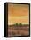 Golden Time I-Tim OToole-Framed Stretched Canvas