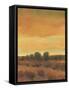 Golden Time I-Tim OToole-Framed Stretched Canvas