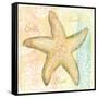 Golden Treasures Inspiration VI-Beth Grove-Framed Stretched Canvas